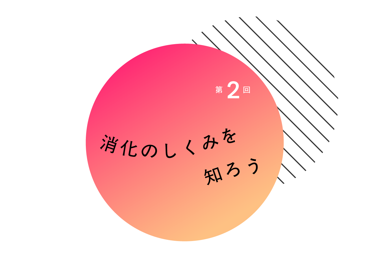 2　消化のしくみを知ろう
