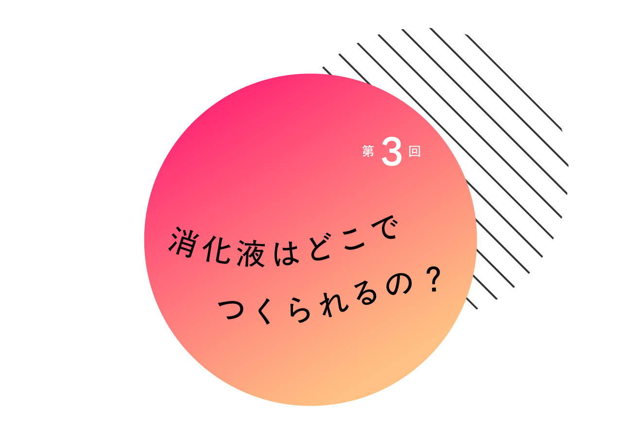 ３消化液はどこでつくられるの？