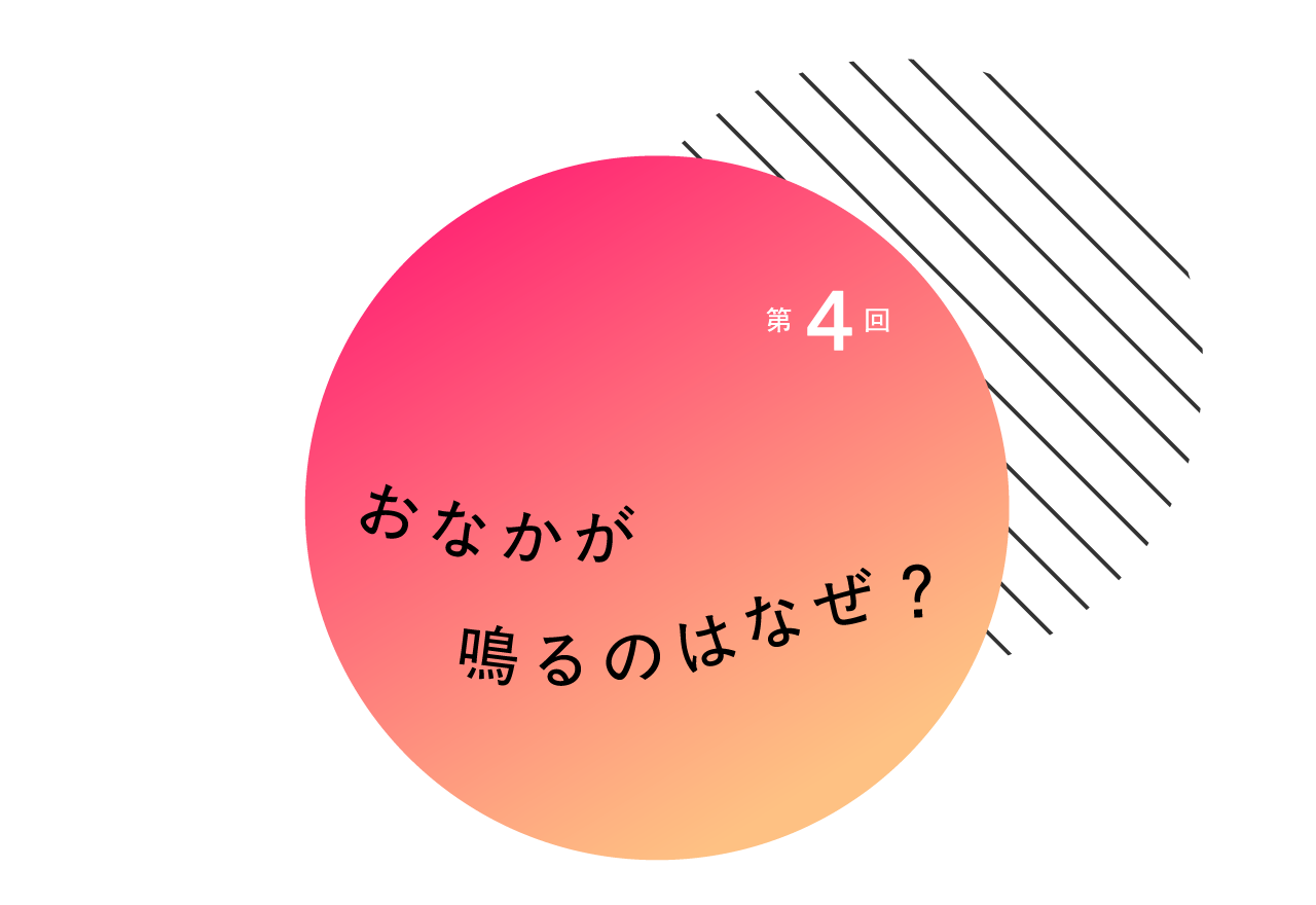 ４おなかが鳴るのはなぜ？