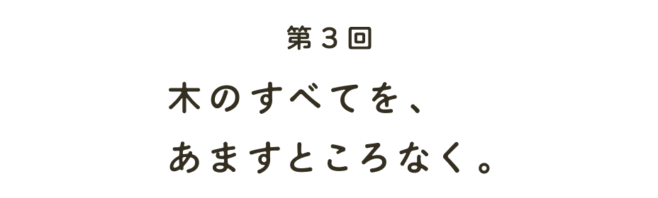 第3回 木のすべてを、 あますところなく。