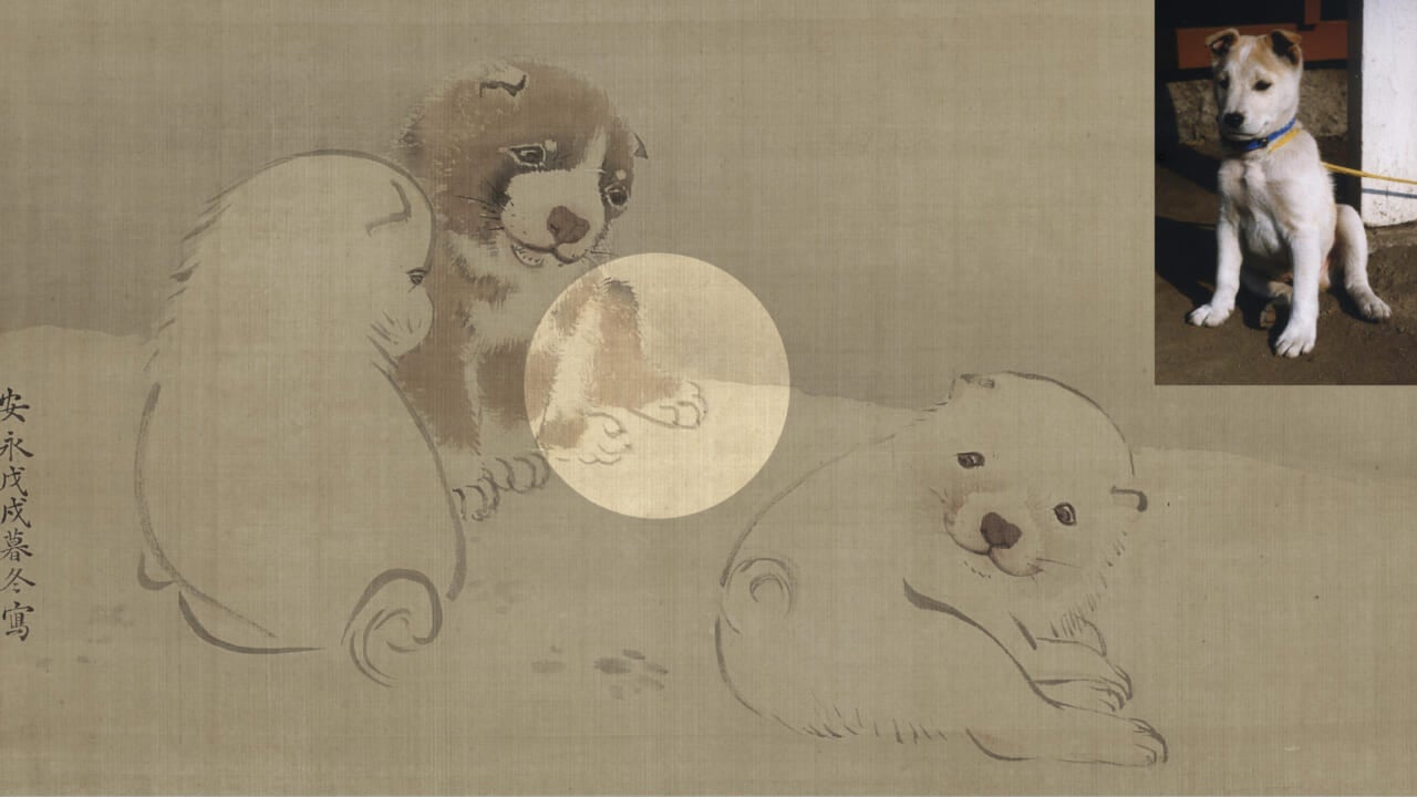円山応挙が描く、戯れる、子犬