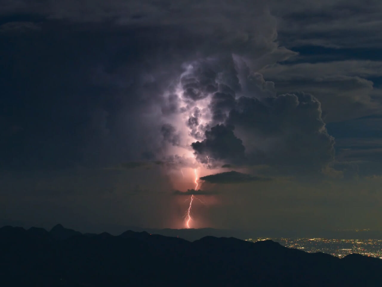 ▲酒井清大さん提供