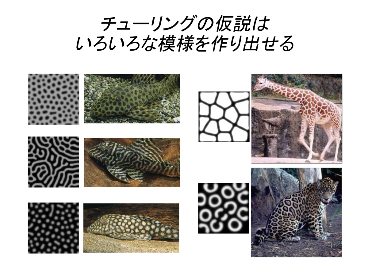 ▲近藤滋さん 提供