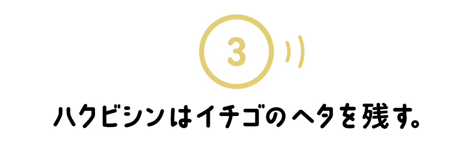 ３.ハクビシンはイチゴのヘタを残す。