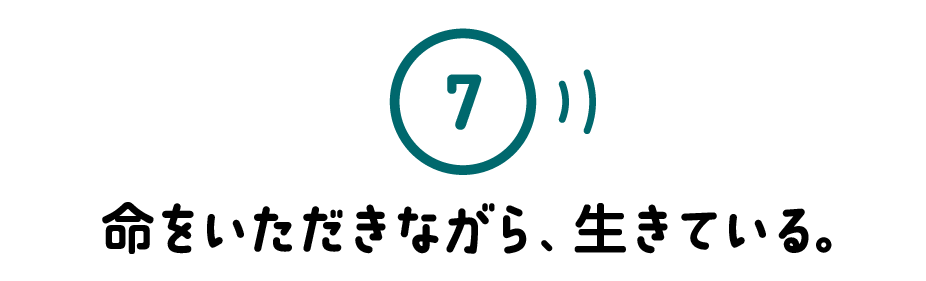 ７.命をいただきながら、生きている。