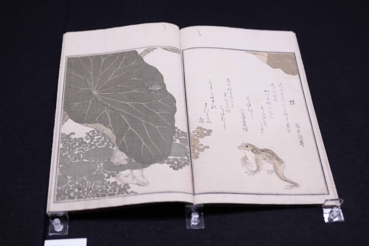 ▲『画本虫撰』下巻（千葉市美術館蔵）