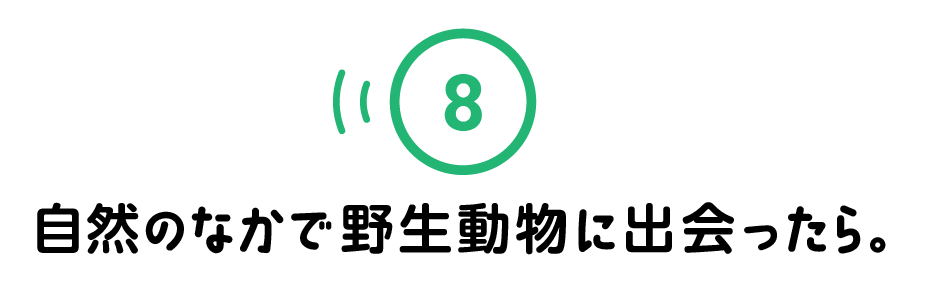 ８.自然のなかで野生動物に出会ったら。