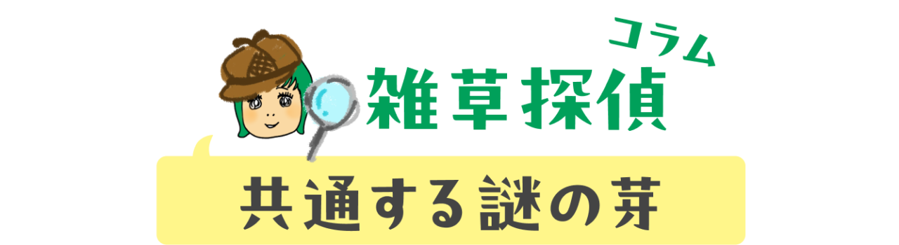 コラム：雑草探偵　共通する謎の芽