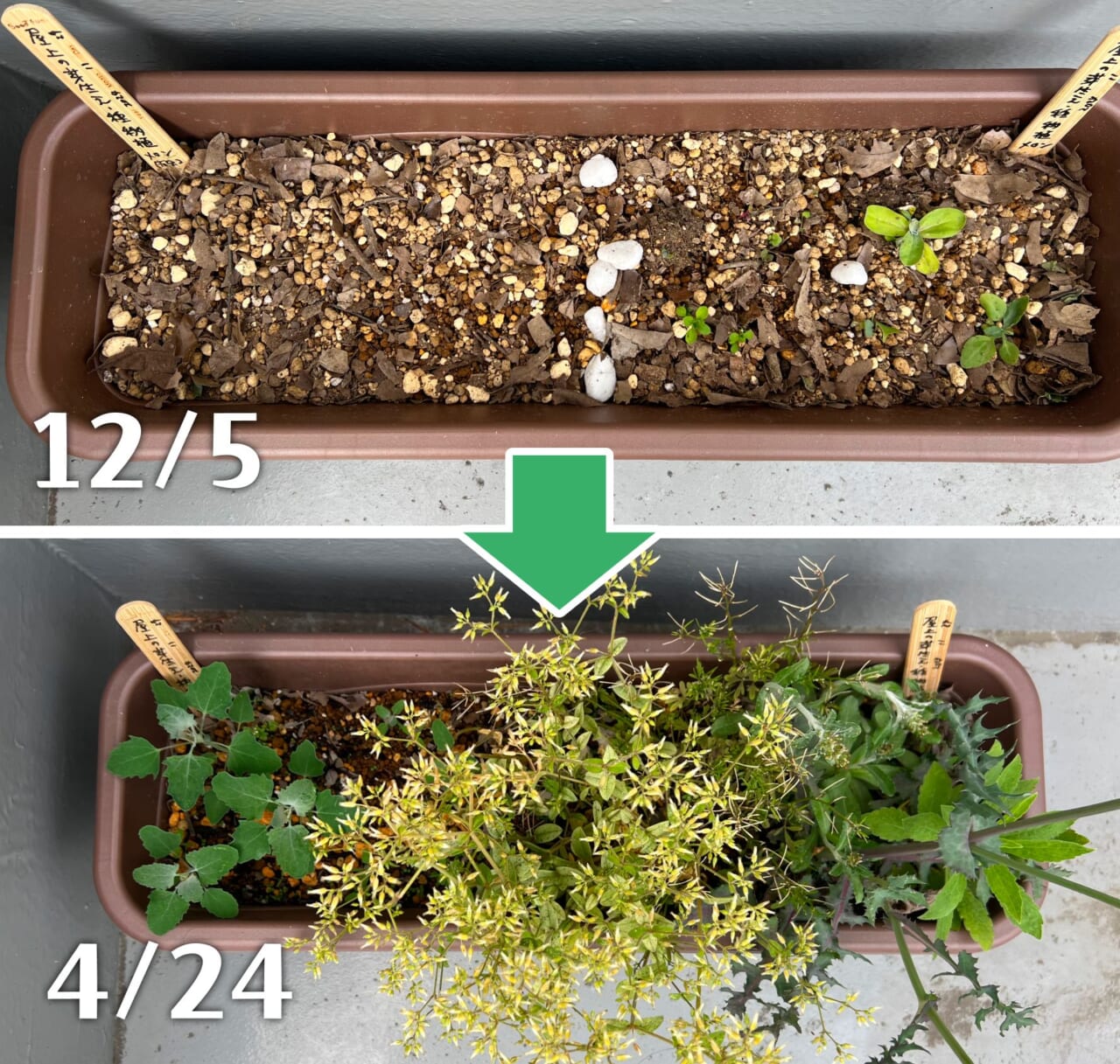 日の当たる場所