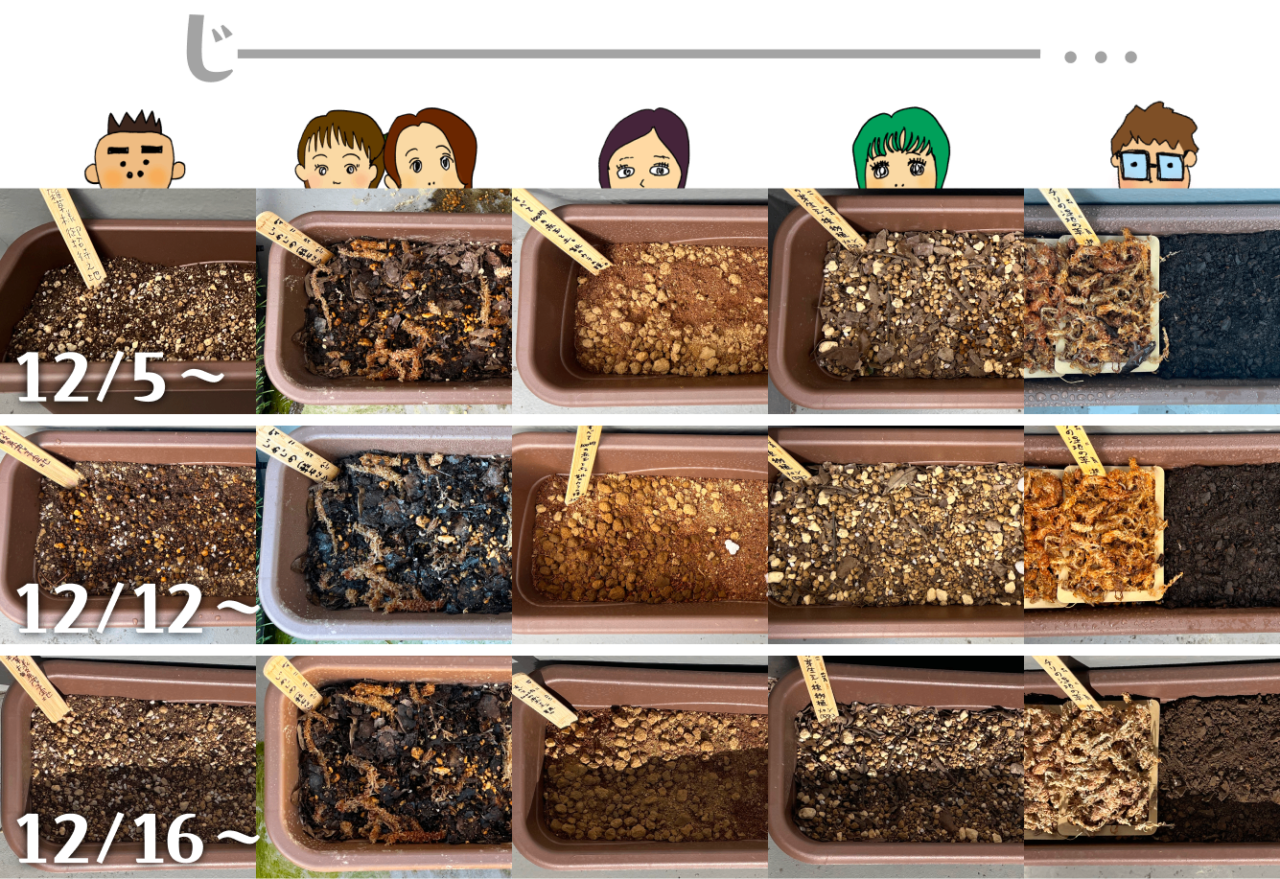 12月５日〜12月12日〜12月16日〜　雑草プランターの芽生えを待つ
