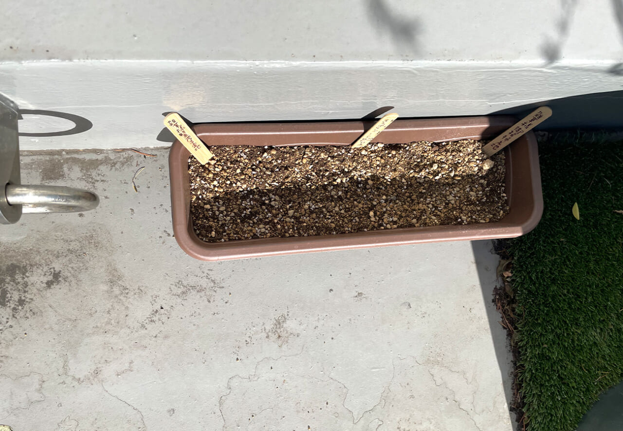 日の当たる場所