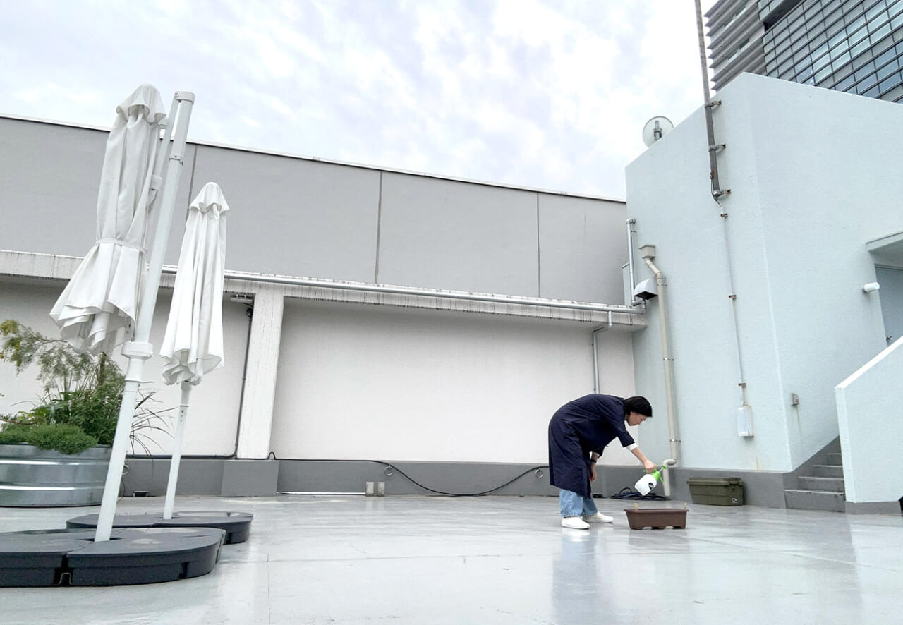 雑草プランターに水をたっぷりとあげています