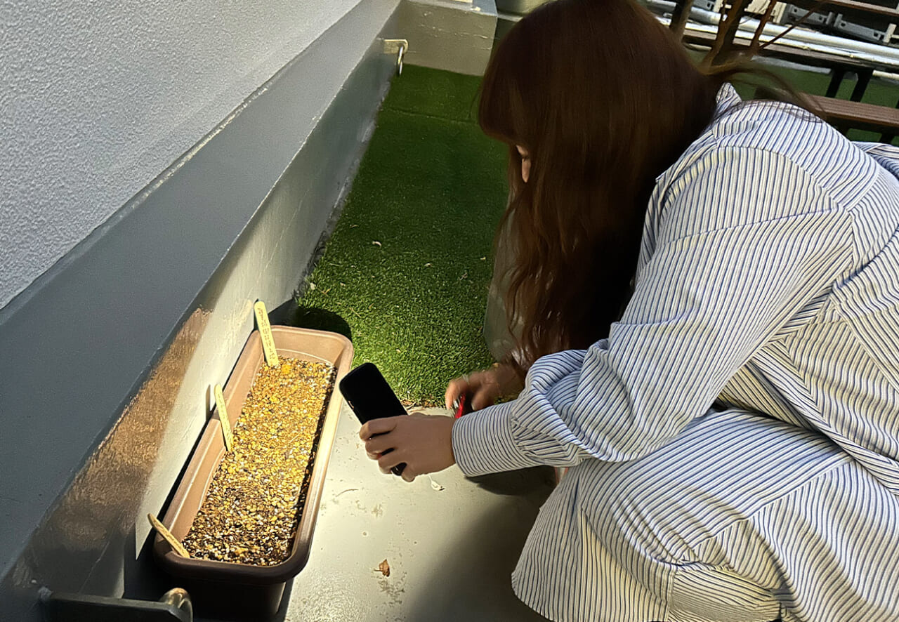 おーいおーいと話しかけてみる