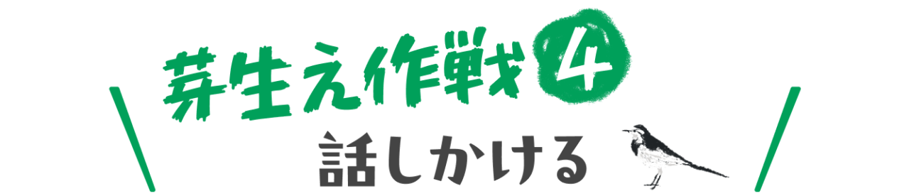 芽生え作戦④　話しかける