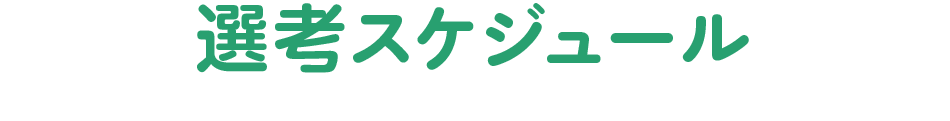 選考スケジュール