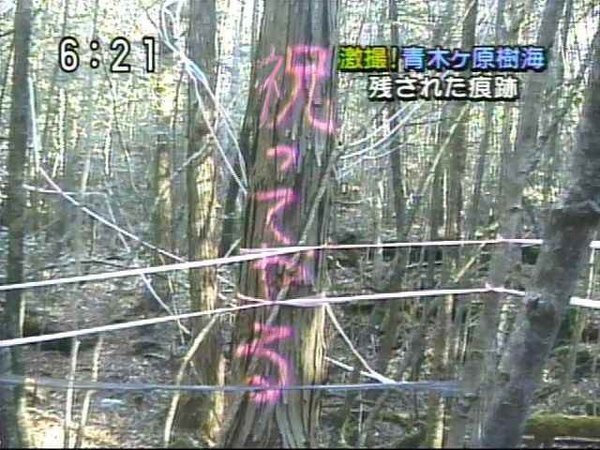 インターネットより