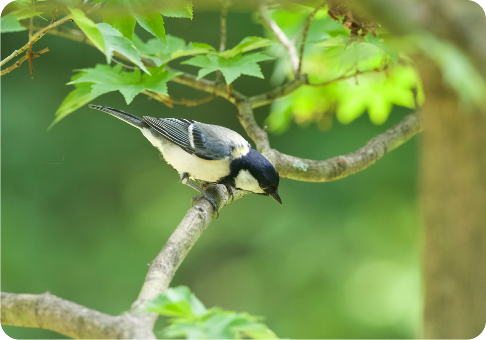 ※写真はイメージです。