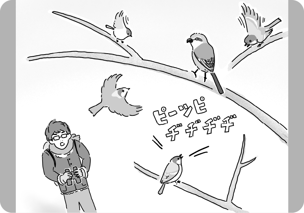 鈴木先生直筆の解説イラスト。　『僕には鳥の言葉がわかる』（小学館）より。
