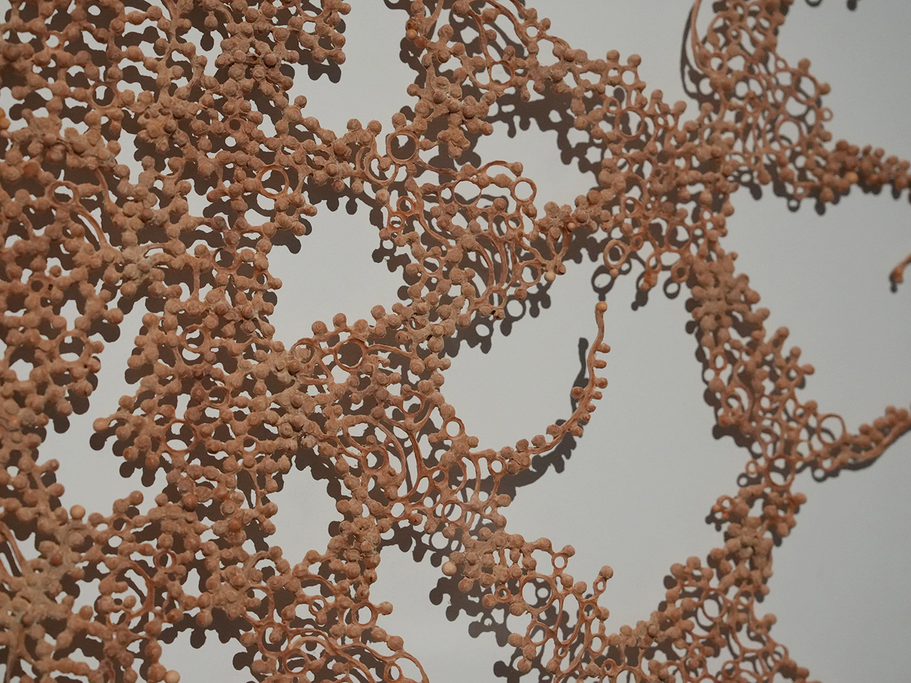 森淳一《flare》2009年　作家蔵　© MORI Junichi, courtesy of Mizuma Art Gallery 