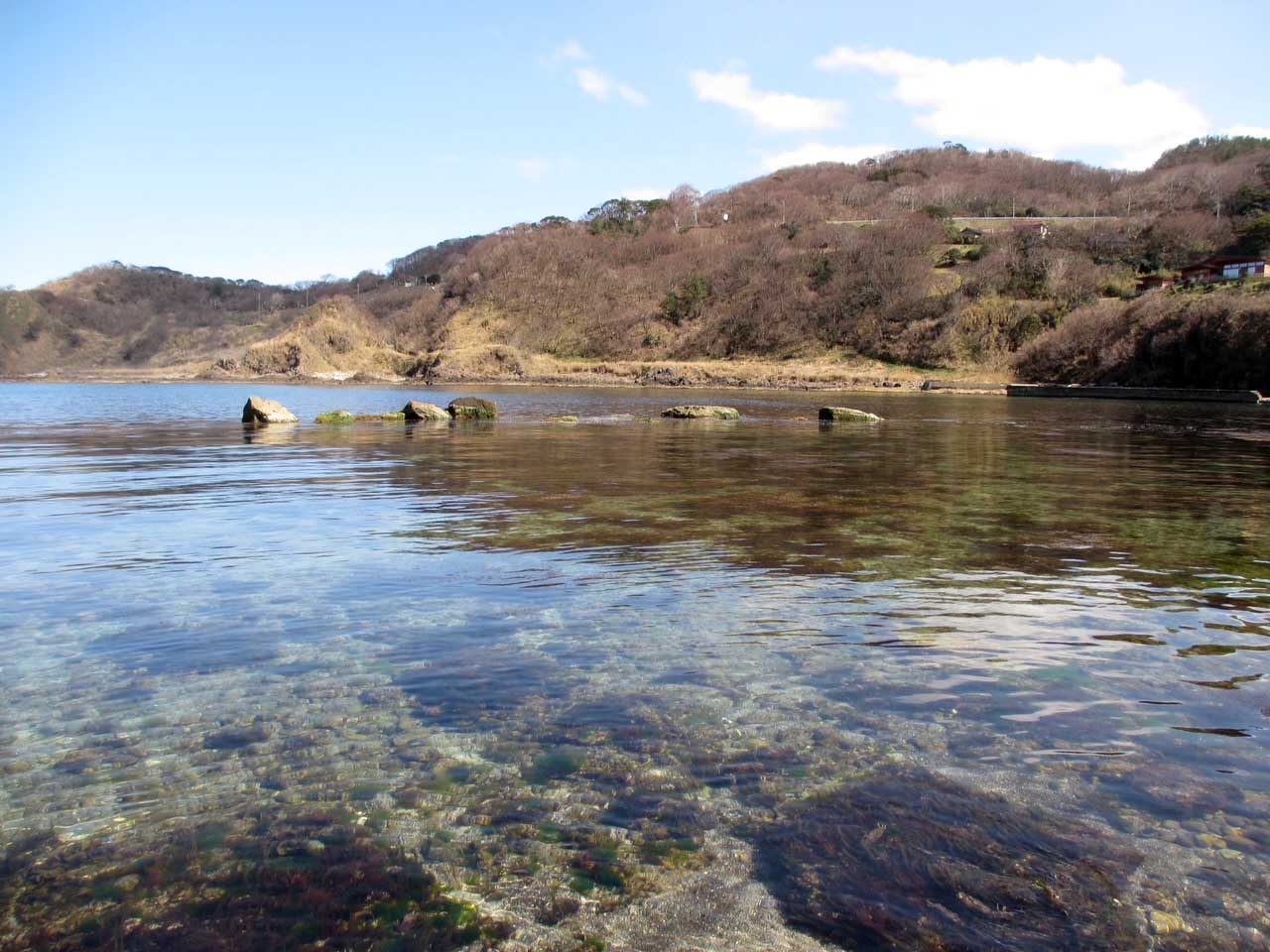 木ノ浦海域公園の海。（写真提供／ひびのこづえ）
