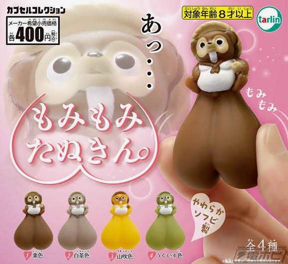 ◎たぬきんカルテットのみなさんです 👉️８歳以上からタヌキさんの大事なところが触れるようになれる理由がわからない。（大阪府／みかん）♨️たしかに。タヌキさんも「あっ…」って。‥‥ちょっとほしいかも。