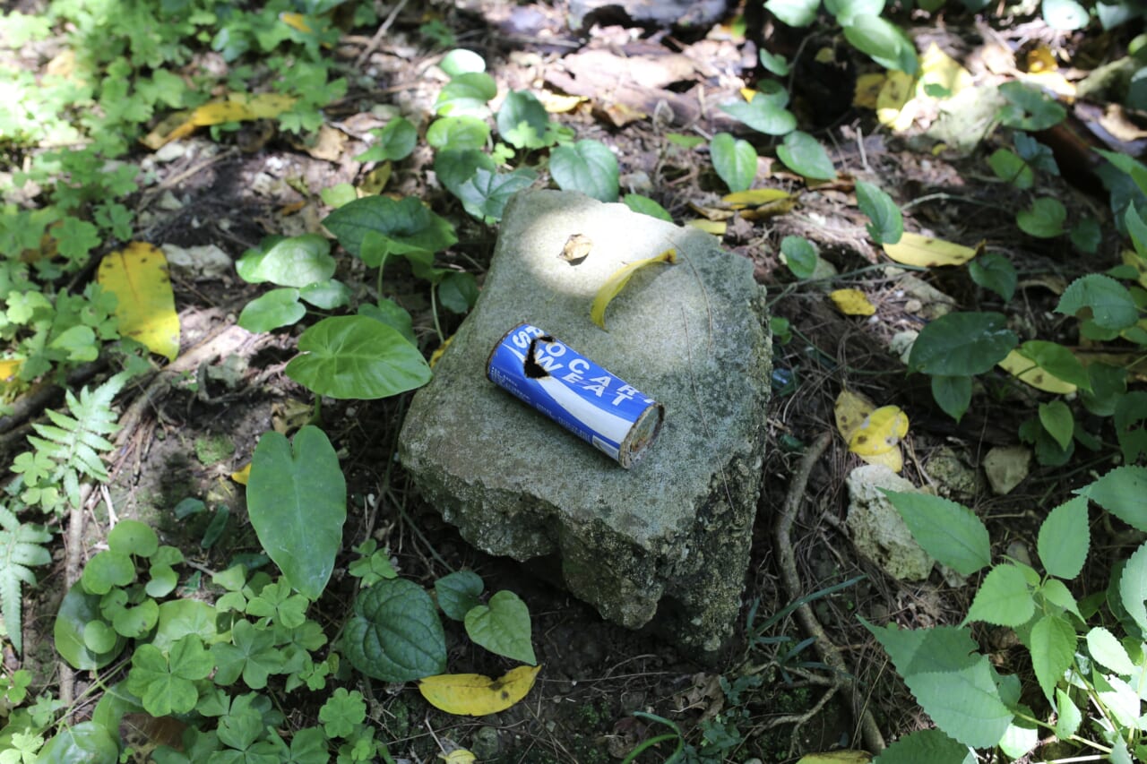 みんなでポーたまを食べた「健児之塔」の先の浜への道すがら　撮影：ほぼ日・奥野