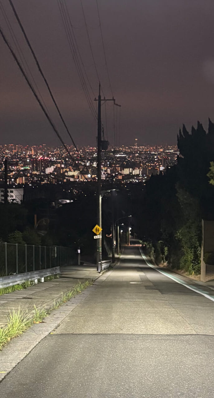 ああ　いつの日か　誰かがこの道を