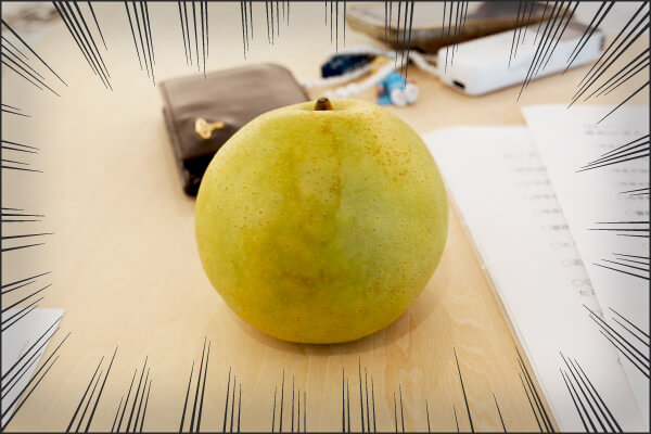 ▲ここで急に、「おみやげね」と梨をいただきました。ありがとうございます。