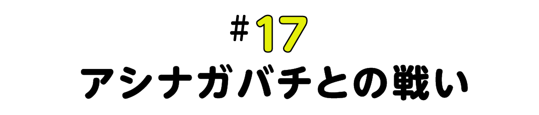 #17 アシナガバチとの戦い