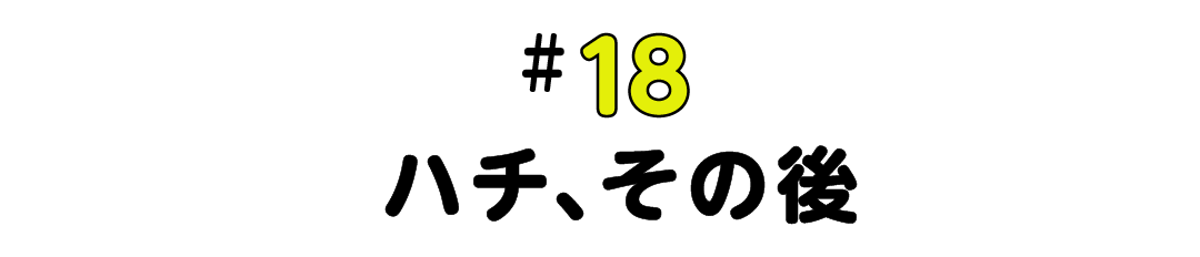 #18 ハチ、その後