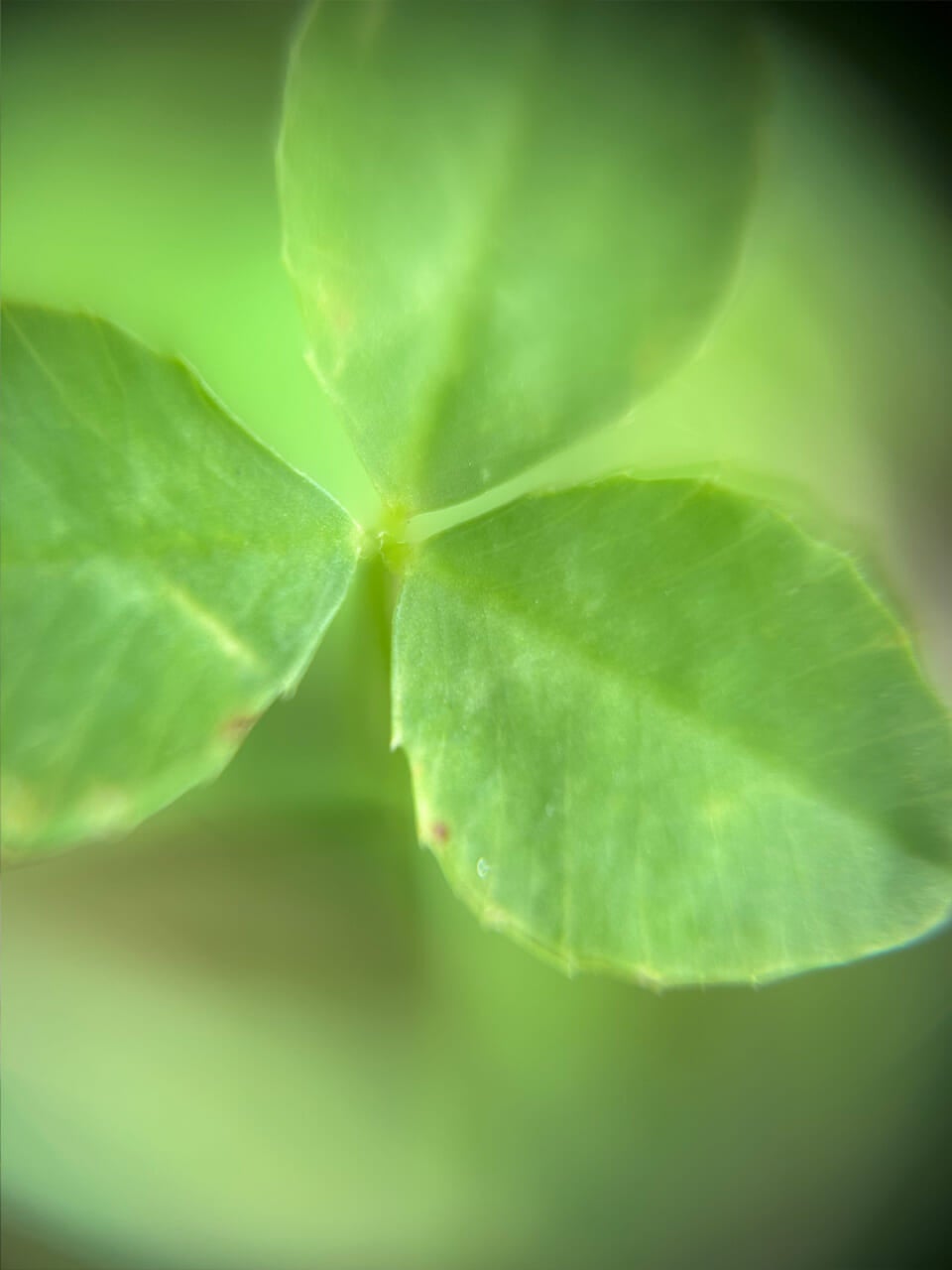 △レンズがうまく使えない。（撮影：もも）