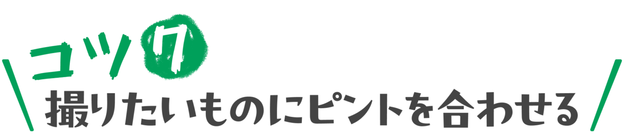 コツ７：撮りたいものにピントを合わせる