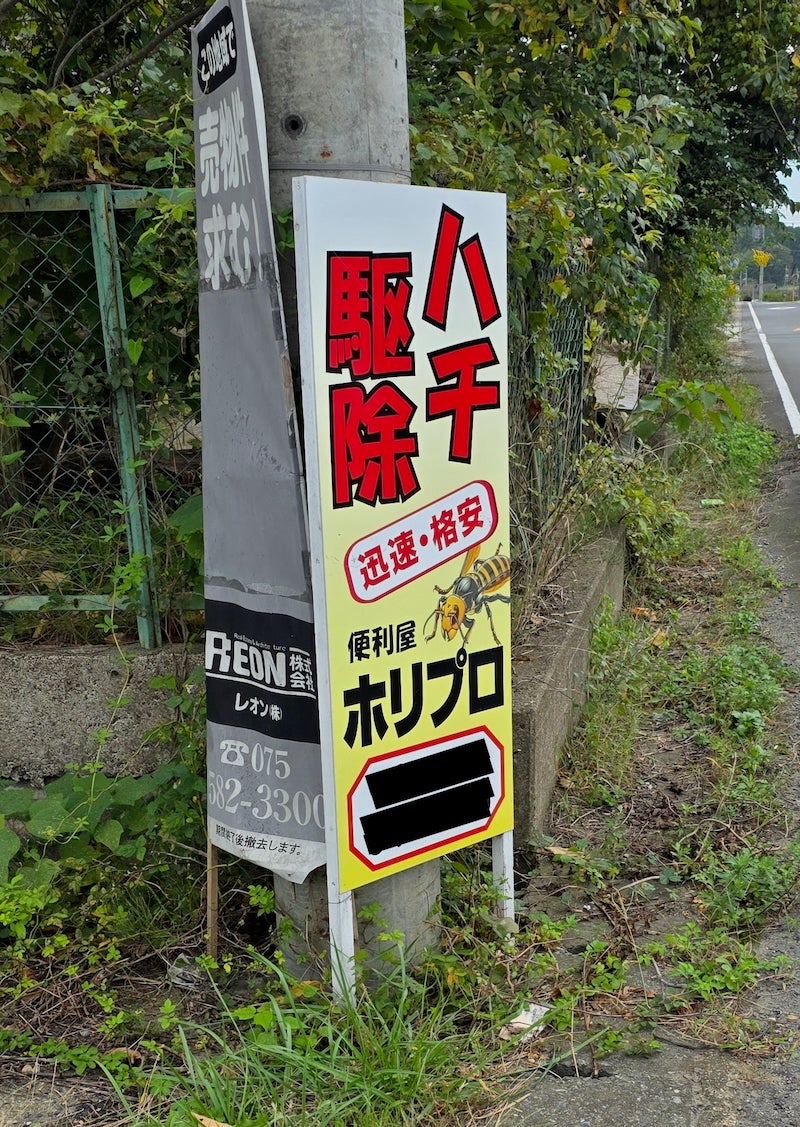 ◎今週の多角経営 👉️和田ア◯子が派遣されてきたりするのでしょうか。（京都府／奥さん、ナイス月窒ッ！） ♨️わはは、俺は何も言ってません！