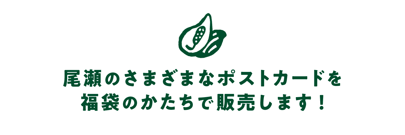 尾瀬のさまざまなポストカードを 福袋のかたちで販売します！