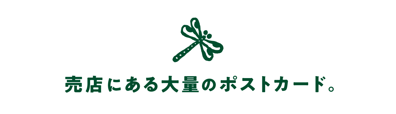 売店にある大量のポストカード。