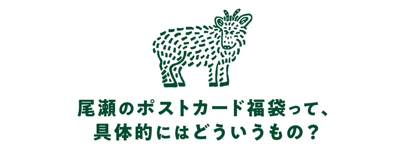尾瀬のポストカード福袋って、 具体的にはどういうもの？