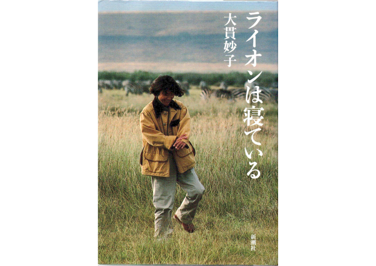 『ライオンは寝ている』