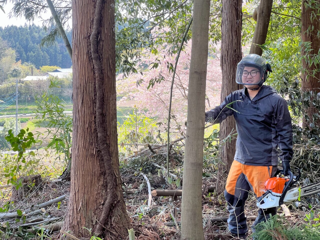 木の伐採現場ではたらく小川さん