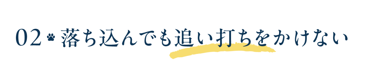 次ページイメージ