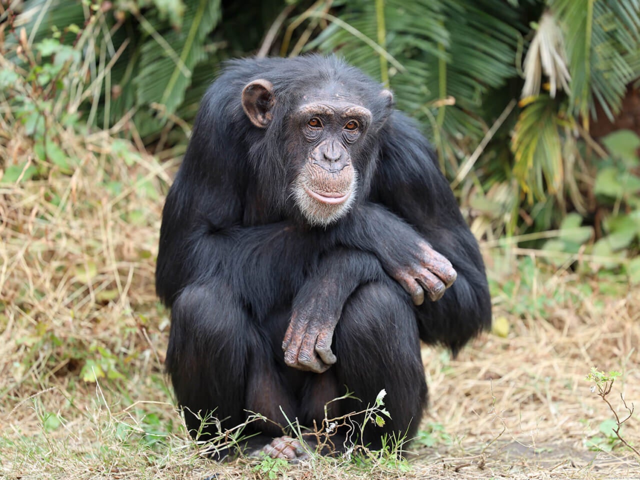 撮影：五代目江戸家猫八（2019年12月）