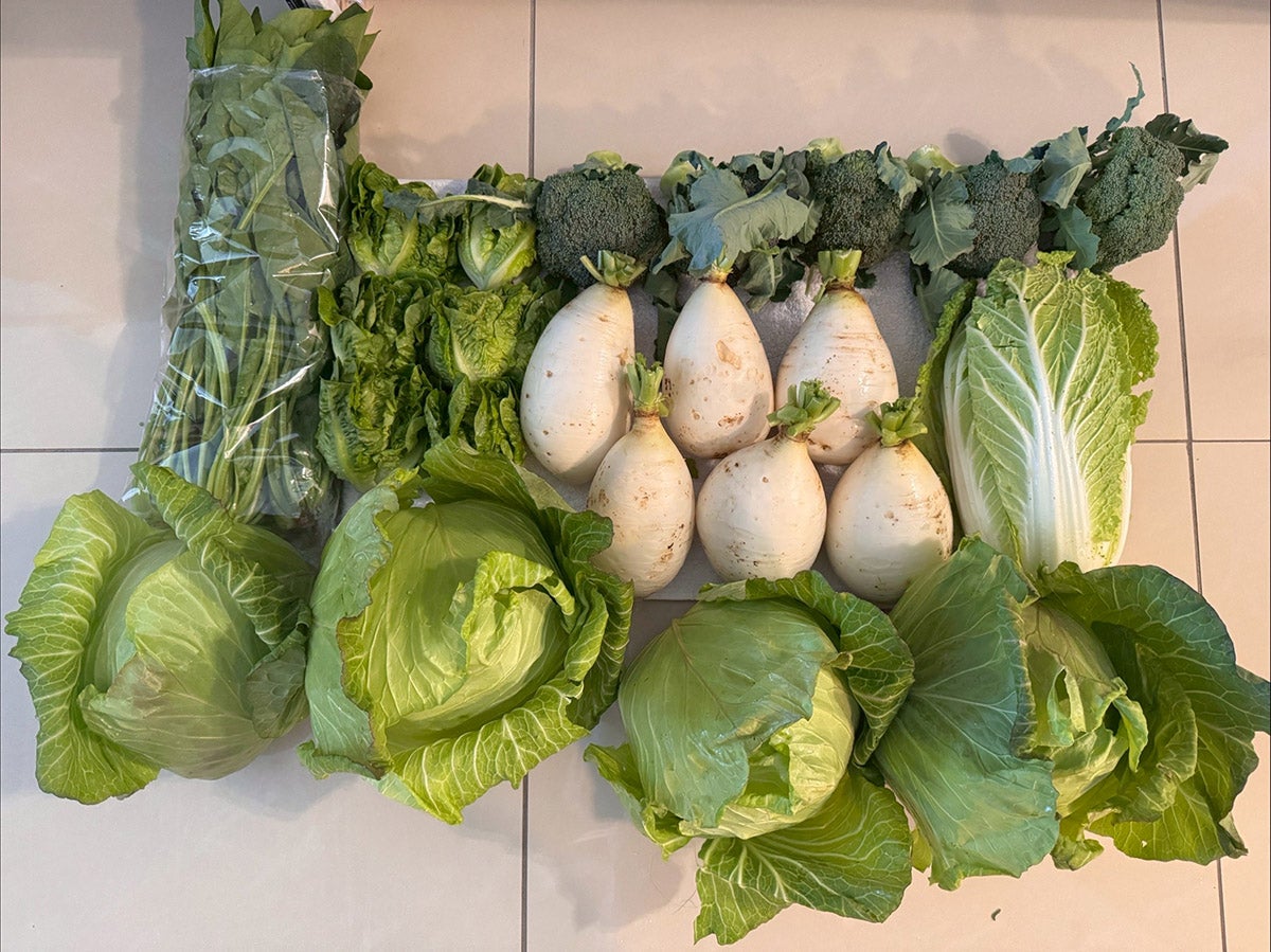 團購その２。知り合いの集落の野菜お任せセット。パワフルな量で、旬のものが詰め合わせ。キャベツ３つと大根６本は、誰かとシェアじゃないと食べきれない？と私は二の足を踏んだ。