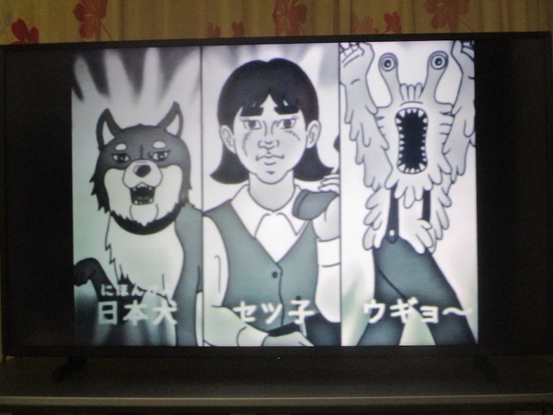 ◎あなたたちはいったい？ 👉️この組み合わせは……。（岡山県／つろっこ） ♨️次はこの人たちが地球を救ってくれるのか？　彼らは「日本建設工業」の「日本犬・セツ子・ウギョ〜」のみなさん。どういう会社か知らないが、ファンです。