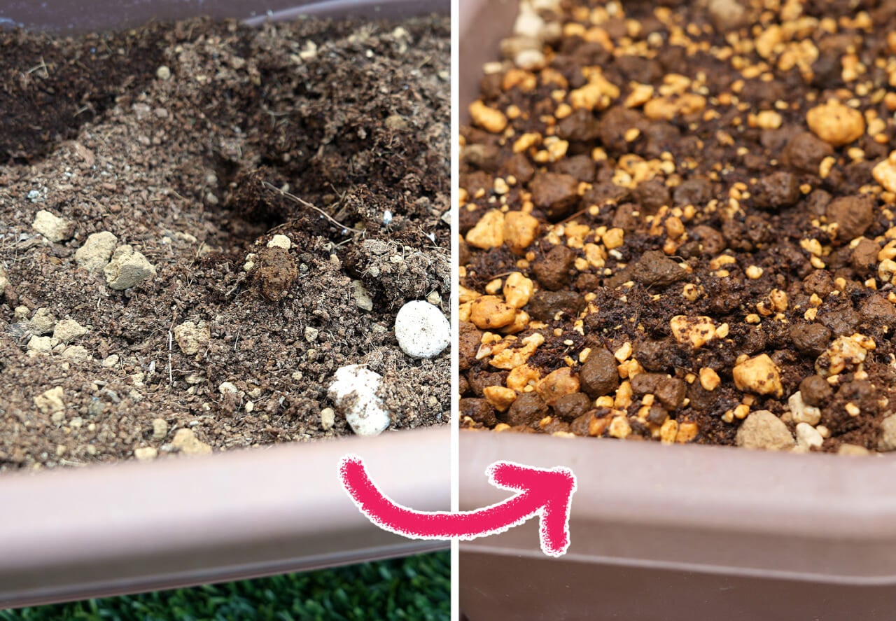 ▲左：サラサラで水はけのいい土。　右：赤玉土と鹿沼土を混ぜてしっとり。