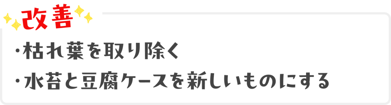 改善：水苔と豆腐ケースを新しいものにする、枯れ葉を取り除く