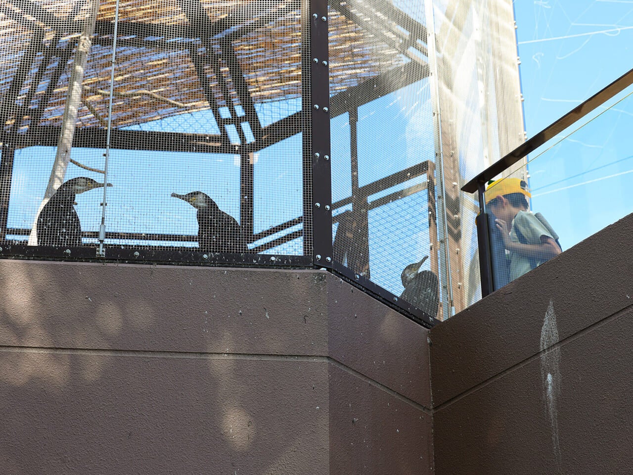 撮影：五代目江戸家猫八