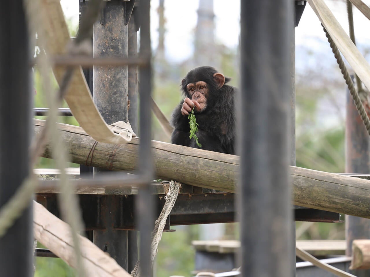 撮影：五代目江戸家猫八