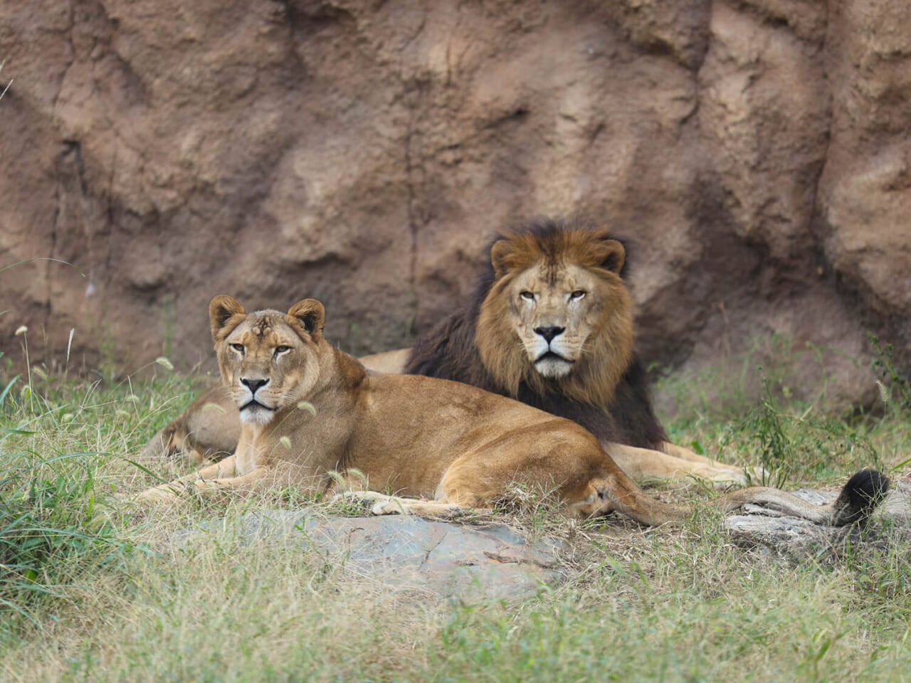 撮影：五代目江戸家猫八
