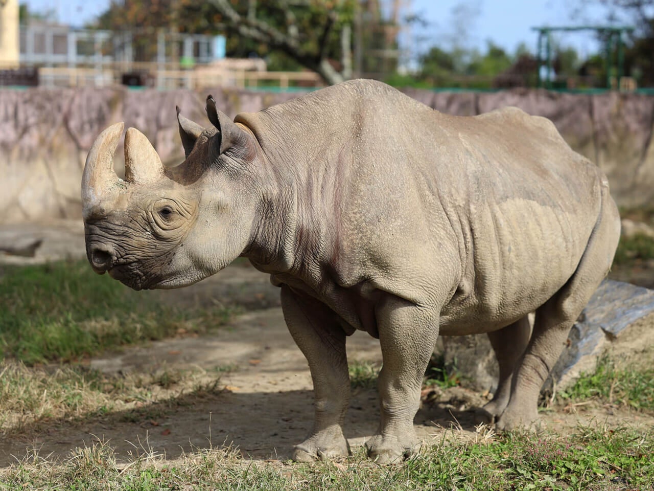 撮影：五代目江戸家猫八