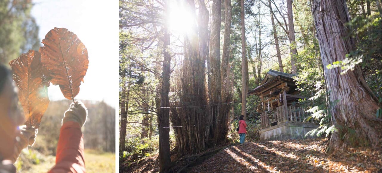 ▲水面がエメラルドグリーンに輝く渓流沿いを、束の間のハイキング。
