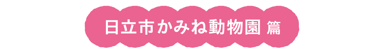 日立市かみね動物園 篇